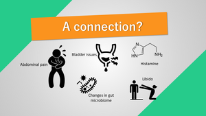 A connection between histamine, mast cells (MCAS), endometriosis, and bladder issues (IC)?
