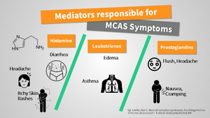 Mast cell activation syndrome (MCAS): mediators and symptoms