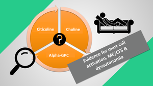 Choline, citicoline, alpha-GPC: what's actually supported in POTS, MCAS, and ME/CFS
