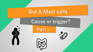 The Gut-Mast Cell-Axis - cause or exacerbating factor?